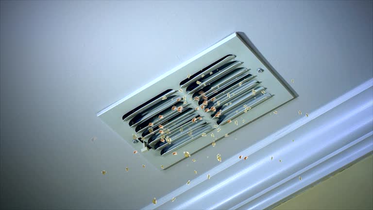 Best HVAC Duct Inspection Services  in Lake Odessa, MI
