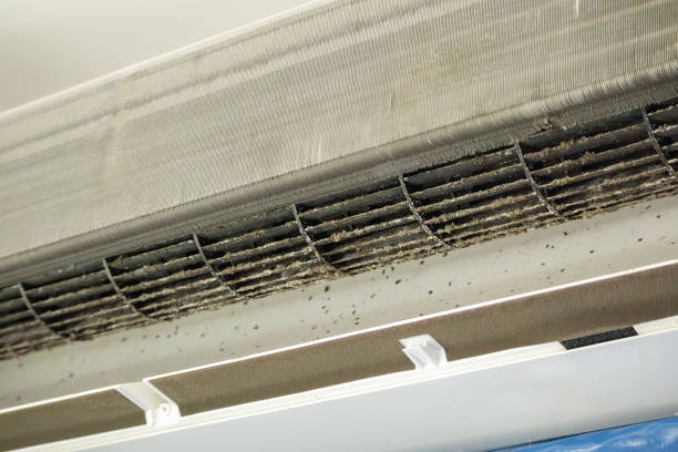Best Air Duct Cleaning Near Me  in Lake Odessa, MI